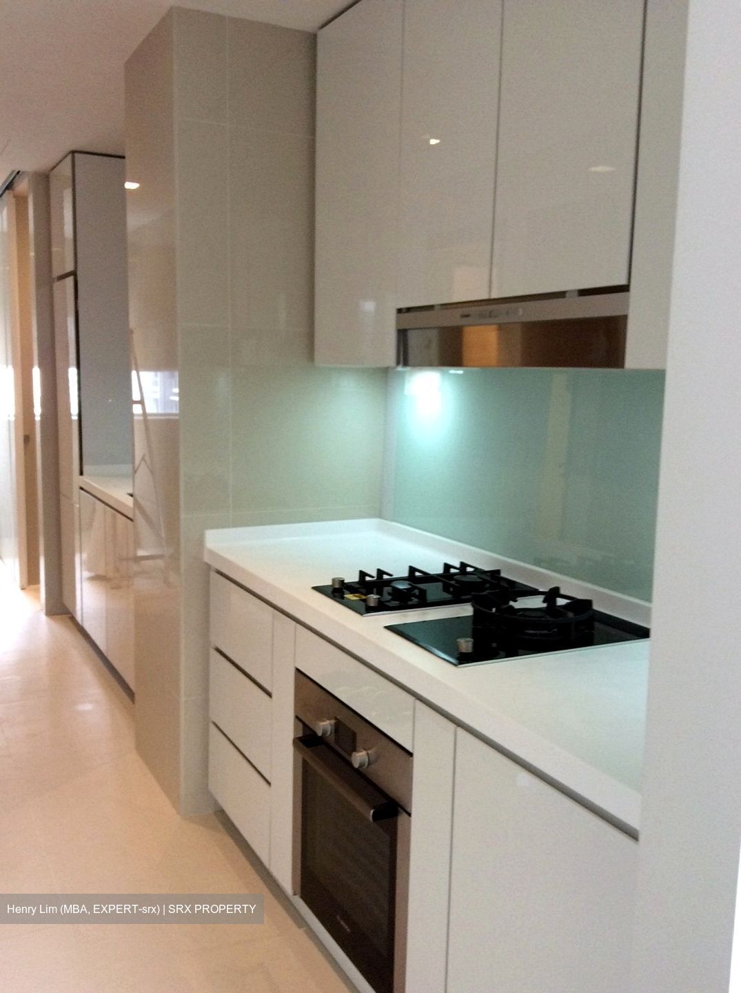 Skyline @ Orchard Boulevard (D9), Apartment #450364601